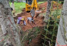 Katghora: Life of the bear that fell into the well was saved, rescue operation successful after 15 hours