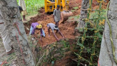 Katghora: Life of the bear that fell into the well was saved, rescue operation successful after 15 hours