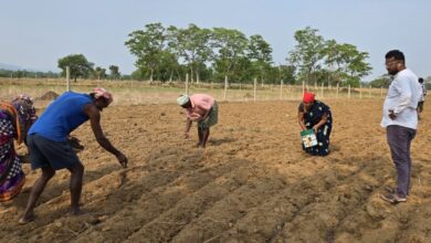 Sukma Success Story:, 25 surrendered youths, farming, self-employment.,