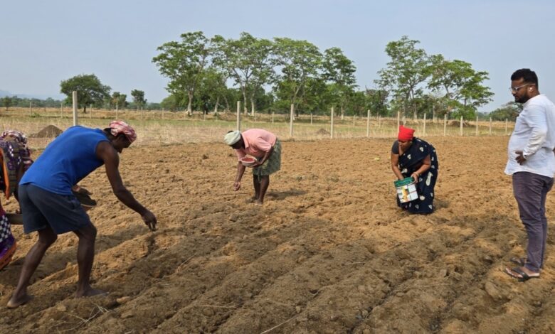 Sukma Success Story:, 25 surrendered youths, farming, self-employment.,