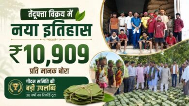 Gidam. Dantewada history;, tendu leaves sold, standard bag;, 4,000 families, receive a bonus.,