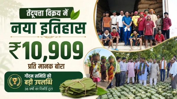 Gidam. Dantewada history;, tendu leaves sold, standard bag;, 4,000 families, receive a bonus.,