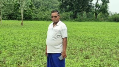 CG News: रायगढ़ के किसान सुखदेव सिदार ने सन की खेती से रची सफलता की नई कहानी, 4 एकड़ से 4 लाख रुपये आय का अनुमान Slug: