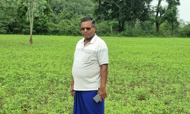 CG News: रायगढ़ के किसान सुखदेव सिदार ने सन की खेती से रची सफलता की नई कहानी, 4 एकड़ से 4 लाख रुपये आय का अनुमान Slug: