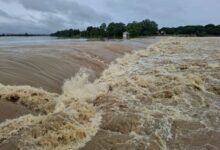 CG Rain Alert: Flood-like conditions in several districts; bridge collapses; Mahanadi river in spate.