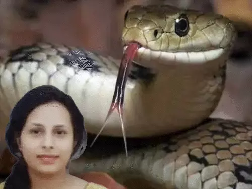 Major action in ₹17 crore snakebite scam; four accused, including a doctor, arrested.
