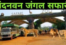 Nandanvan Jungle Safari, Naya Raipur: Tourism gains a new identity alongside wildlife conservation.