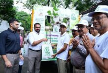 Free saplings to be available at home in Raigarh; Finance Minister OP Choudhary launches new initiative.