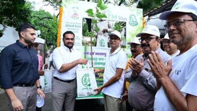 Free saplings to be available at home in Raigarh; Finance Minister OP Choudhary launches new initiative.
