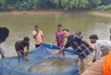 Success of a government scheme: Farmer earns ₹30,000 in two months from fish seed production.