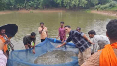 Success of a government scheme: Farmer earns ₹30,000 in two months from fish seed production.