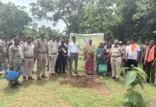 'Ek Ped Maa Ke Naam' campaign receives public support in Balodabazar; saplings planted during Van Mahotsav.