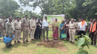 'Ek Ped Maa Ke Naam' campaign receives public support in Balodabazar; saplings planted during Van Mahotsav.