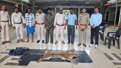 Three accused arrested with a leopard skin in Narayanpur; two motorcycles seized.