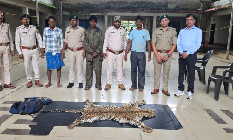 Three accused arrested with a leopard skin in Narayanpur; two motorcycles seized.