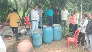 Farmers get a new organic farming model; 'Jeevamrit' farms established in 160 panchayats.