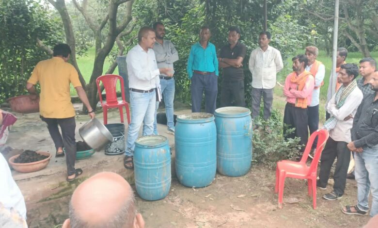 Farmers get a new organic farming model; 'Jeevamrit' farms established in 160 panchayats.