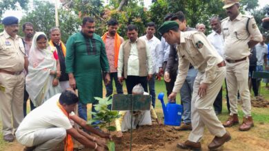 A sapling planted in the name of 'Mother': Chhattisgarh takes a major step towards greenery.