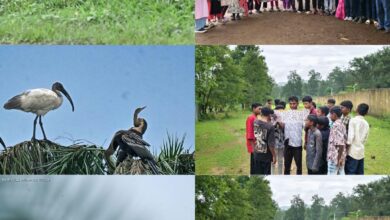 Chirping of birds echoes across Chhattisgarh's 33 districts; 211 species recorded at the Hareli Bird Festival.
