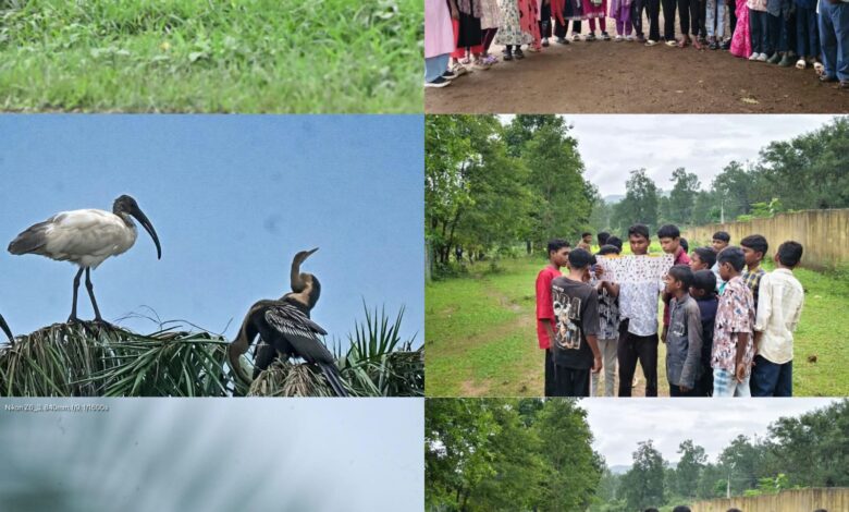 Chirping of birds echoes across Chhattisgarh's 33 districts; 211 species recorded at the Hareli Bird Festival.