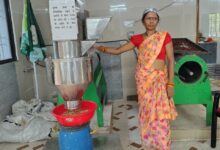 Mahua emerges as a new source of livelihood in Chhattisgarh; Van Dhan Yojana boosts women's earnings.