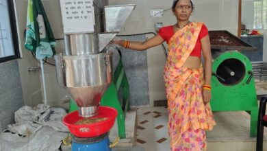 Mahua emerges as a new source of livelihood in Chhattisgarh; Van Dhan Yojana boosts women's earnings.