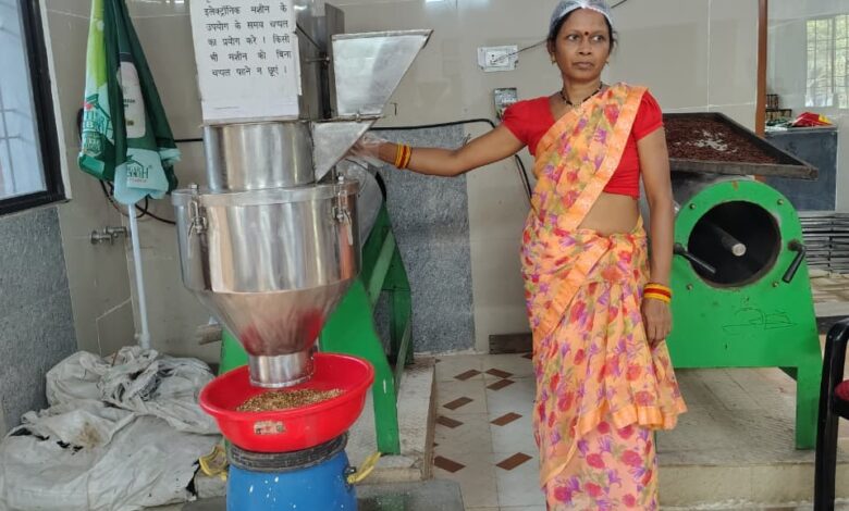 Mahua emerges as a new source of livelihood in Chhattisgarh; Van Dhan Yojana boosts women's earnings.