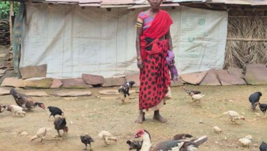 A new success story in Bastar's fields: Raibali, a woman farmer, has increased her income.