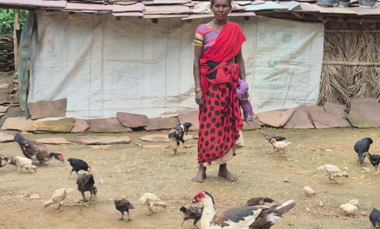 A new success story in Bastar's fields: Raibali, a woman farmer, has increased her income.