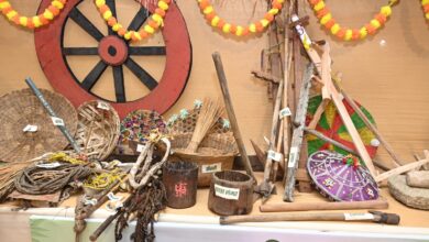 Hareli: A festival celebrating Chhattisgarh's folk traditions, agricultural culture, and love for nature.