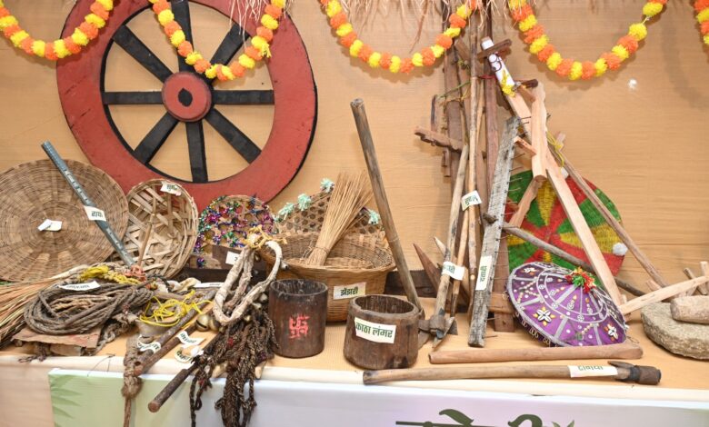Hareli: A festival celebrating Chhattisgarh's folk traditions, agricultural culture, and love for nature.