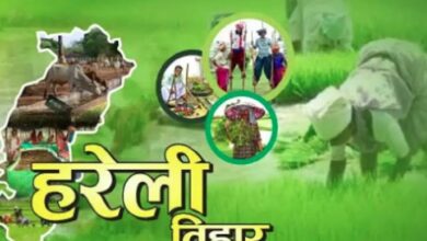 Hareli, the Festival of Greenery: A Folk Festival of Chhattisgarh Dedicated to Nature, Livestock, and Agriculture