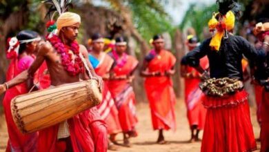 World Tribal Day: A pledge to preserve a culture rooted in water, forests, and land.