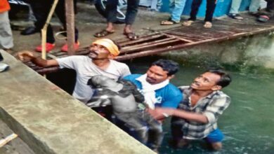 Open drain claims innocent child's life; 4-year-old Kavyansh dies.