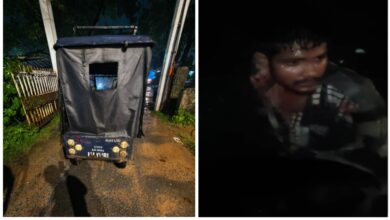 People rushed to the scene upon hearing a female student's scream and caught an auto-rickshaw driver who was taking her to a deserted area.
