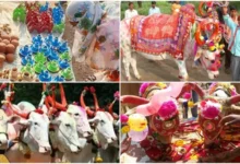 Pola Tihar 2026: A unique festival of gratitude towards agriculture and livestock—learn about its traditions.