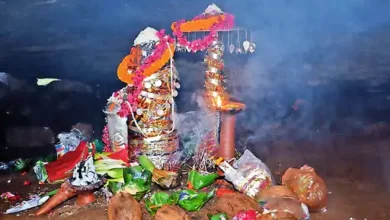 Maa Lingeshwari's shrine opens for one day; devotees arrive from several states, including Chhattisgarh.