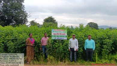 'Seva Sankalp Abhiyan': Farmers' fields transformed into demonstration centers for advanced technology; promising growth observed in Arhar (pigeon pea) crops.