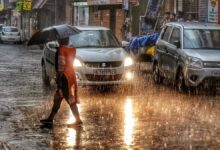 CG Monsoon Update: Conditions currently favorable for Kharif crops; rainfall reaches 97%.