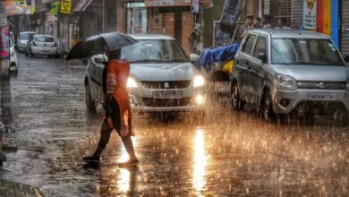 CG Monsoon Update: Conditions currently favorable for Kharif crops; rainfall reaches 97%.