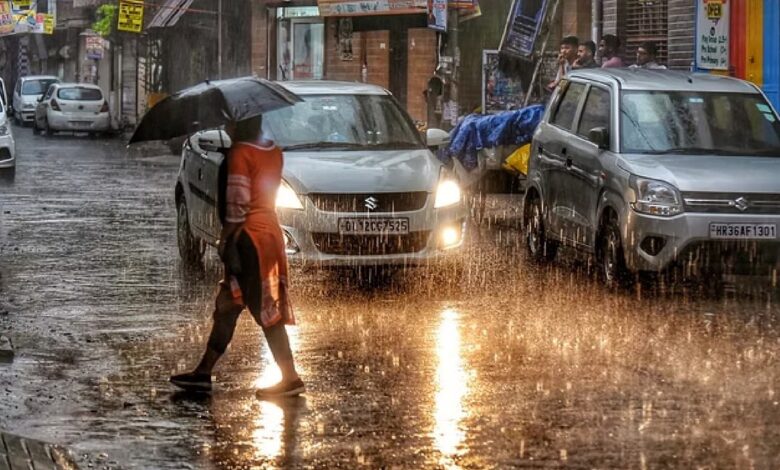 CG Monsoon Update: Conditions currently favorable for Kharif crops; rainfall reaches 97%.