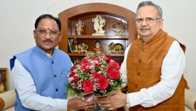 राजनांदगांव में बनेगा गैस आधारित फर्टिलाइजर प्लांट, रोजगार और औद्योगिक विकास को मिलेगी नई रफ्तार: CM साय