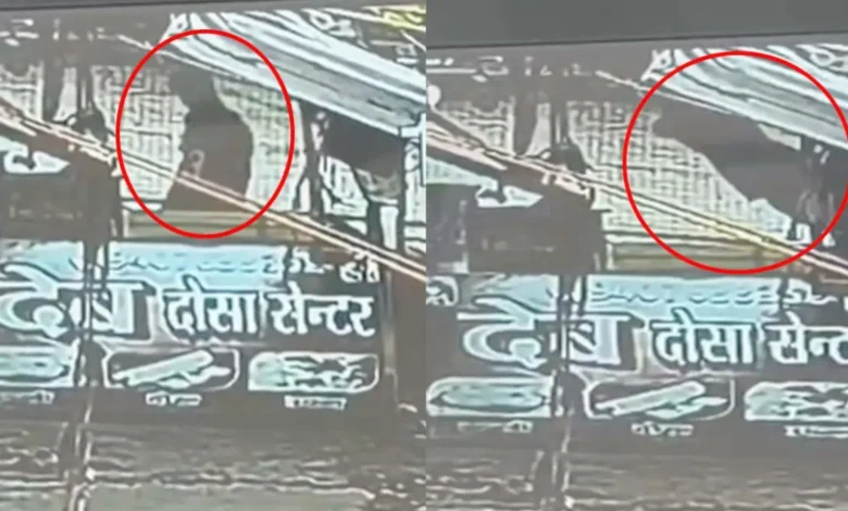 Major accident in Jagdalpur: Youth struck by a severed power line; CCTV footage goes viral.