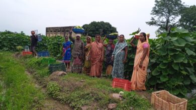 A triumph of hard work and modern farming: 35 women created history by growing 600 quintals of vegetables.