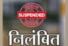 Allegations of securing a job using a fake D.El.Ed marksheet; major action taken on the Collector's orders.
