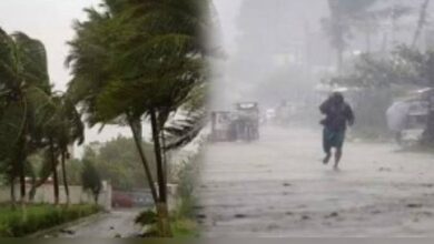 Chhattisgarh meets rainfall quota; several districts record above-normal rainfall.