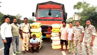 Major crackdown on cannabis smuggling in Chhattisgarh; assets worth ₹2.95 crore seized.