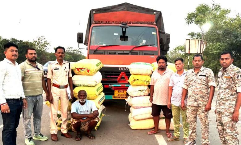 Major crackdown on cannabis smuggling in Chhattisgarh; assets worth ₹2.95 crore seized.