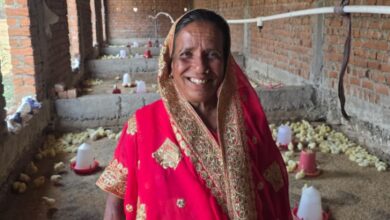 From malnutrition to good nutrition, from agriculture to animal husbandry: New hope through public welfare schemes.