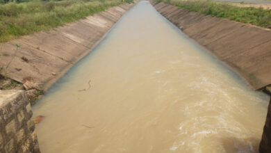 Shyam Ghunghutta Project sets an example of water management in Surguja; benefits 63 villages.